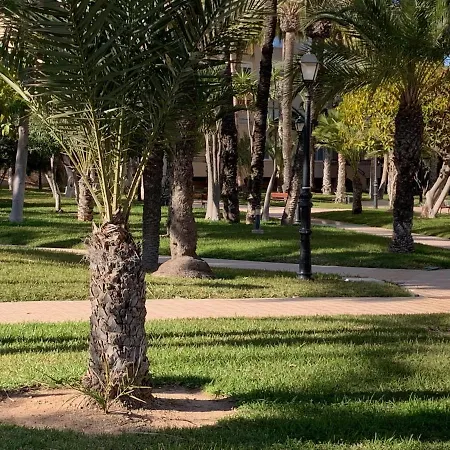 Encantador Playa 公寓 托雷维耶哈